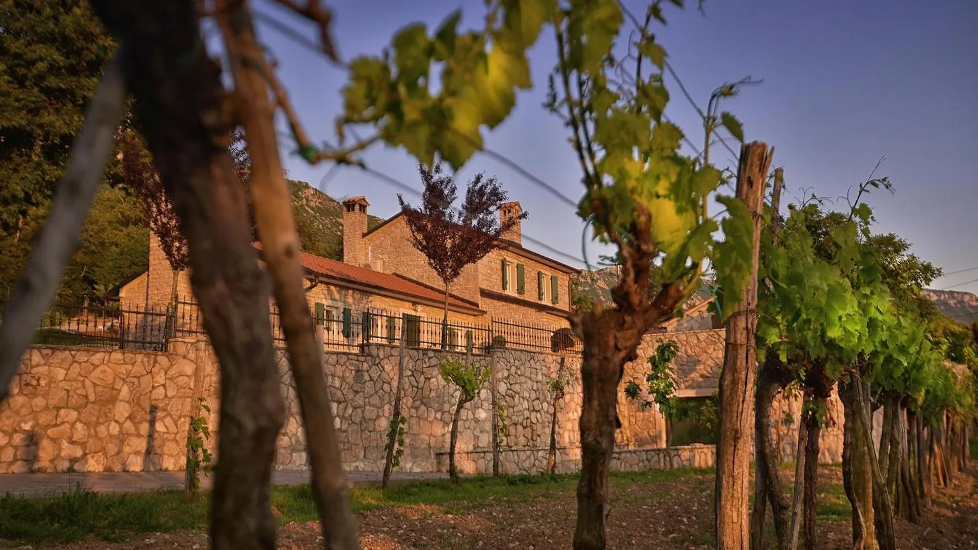 Villa Skavre Pulgarija Cepic Holiday home